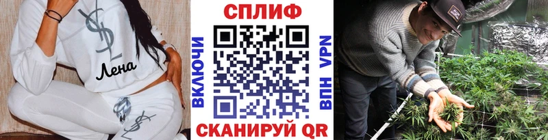 Купить закладки  Купино  Марихуана тримм 
