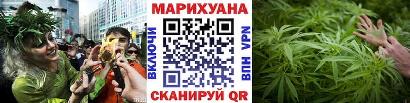 Бошки Шишки конопля Купино